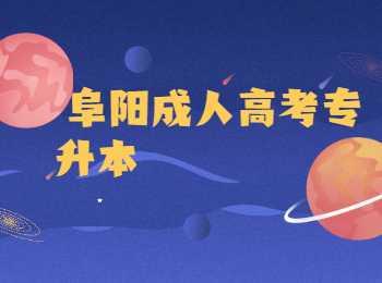 阜陽(yáng)成考專升本